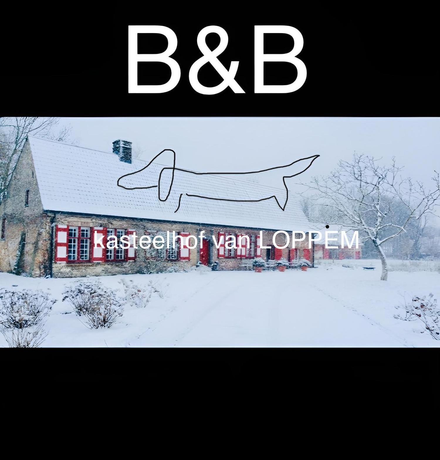 Kasteelhof Van Loppem Esterno foto